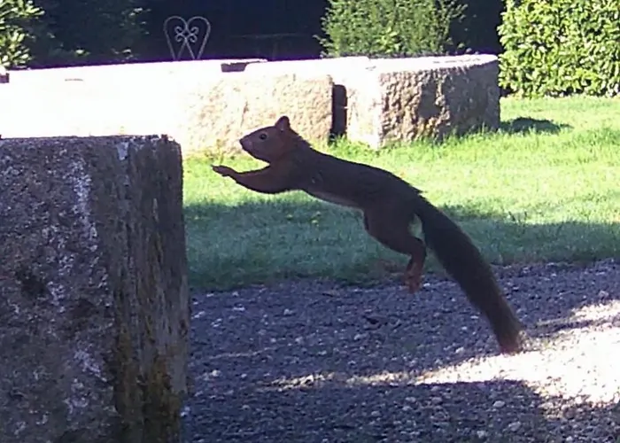 Сasa de vacaciones La Maison Ruth Montbray